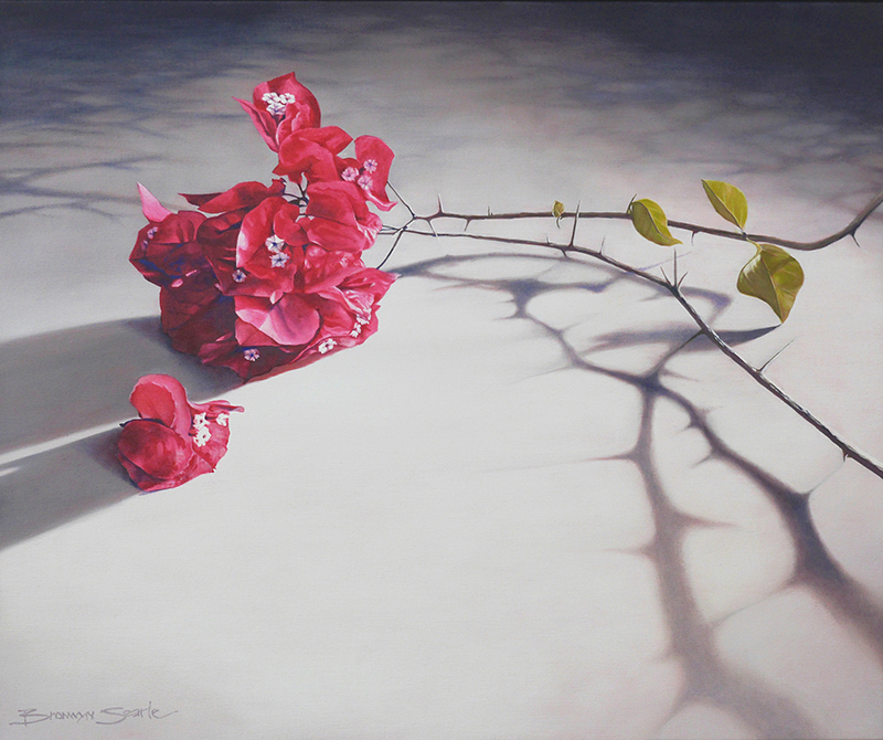 On Show by Bronwyn Searle | Lethbridge Gallery